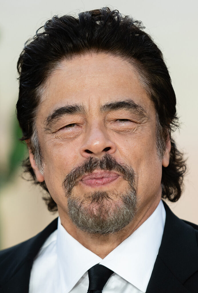 Benicio del Toro