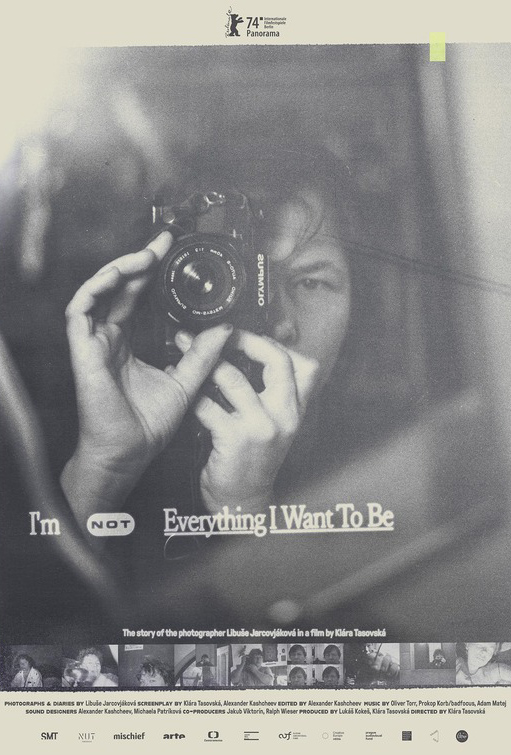 I'M NOT EVERYTHING I WANT TO BE movie poster