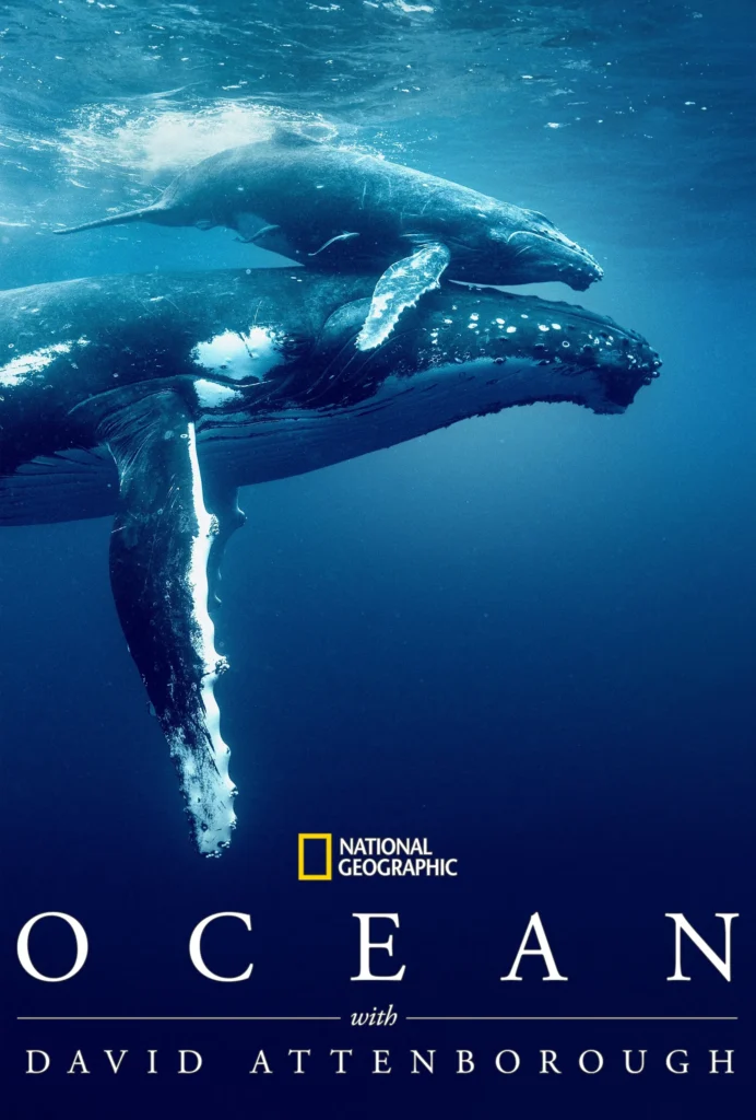 OCEAN movie poster