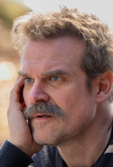 David Harbour in 'DTF St. Louis'