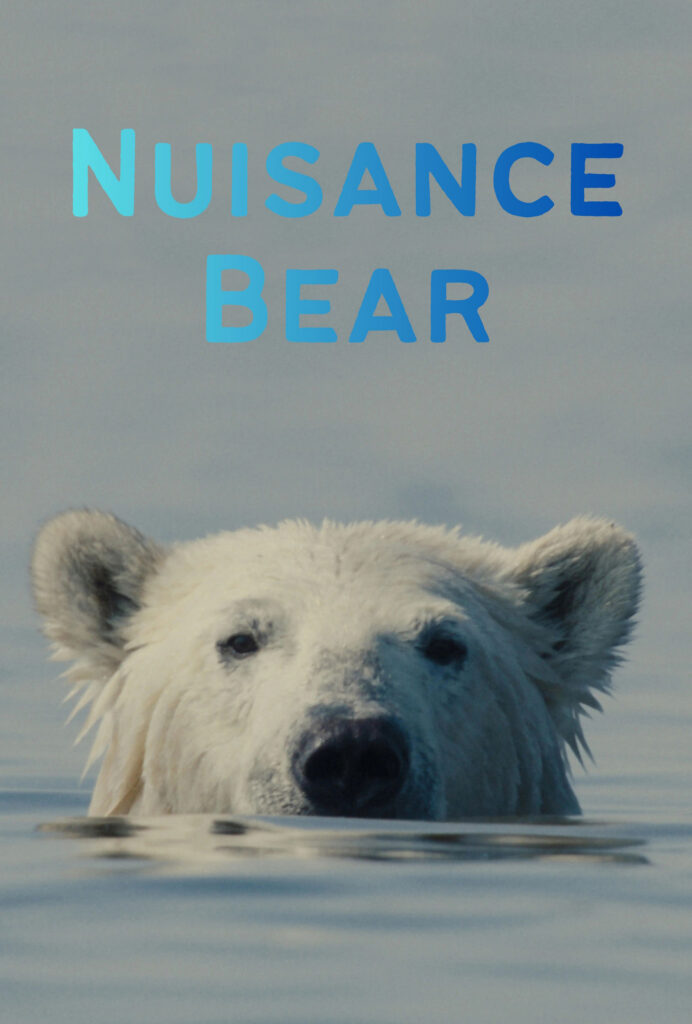 NUISANCE BEAR movie poster