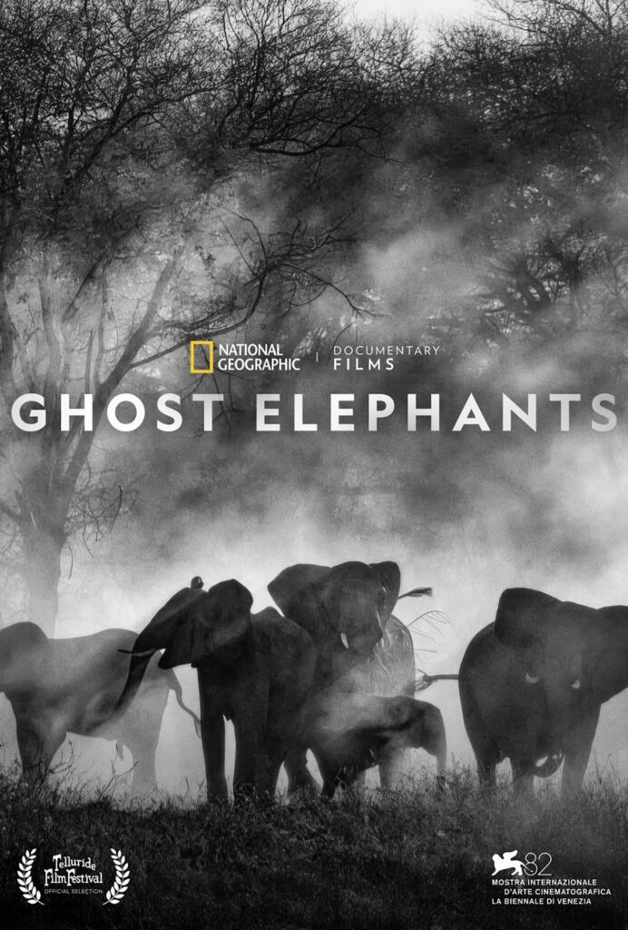 GHOST ELEPHANTS movie poster
